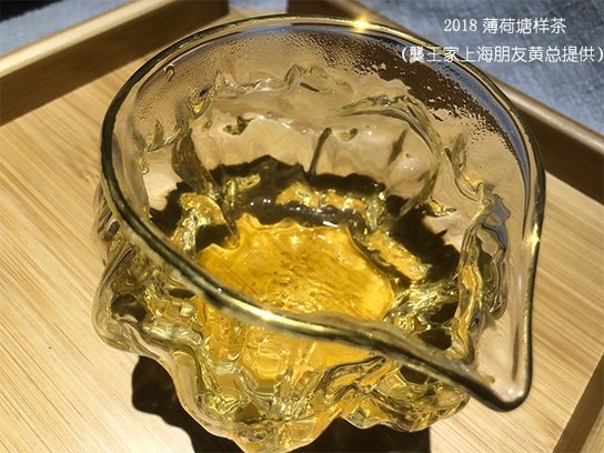 上海老茶人黄总提供的薄荷塘