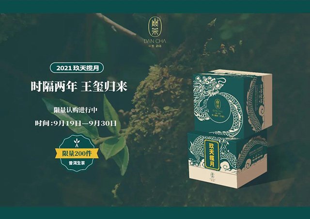 巅茶2021玖天揽月生茶