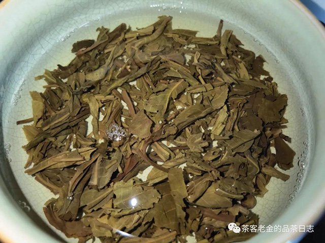 苦行茶僧繁花普洱茶