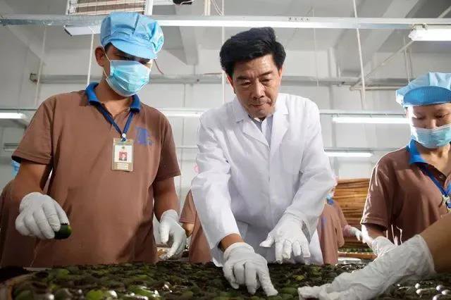 区柏余 「寻味」广东茶界四宝,一周学透拥有!