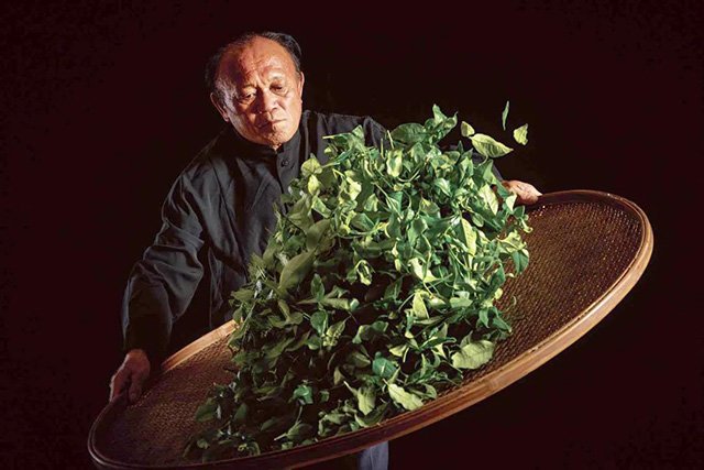 林伟周 「寻味」广东茶界四宝,一周学透拥有!
