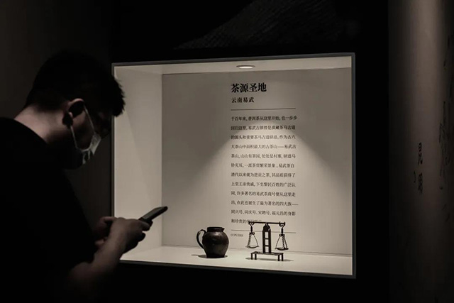 双陈普洱茶品牌