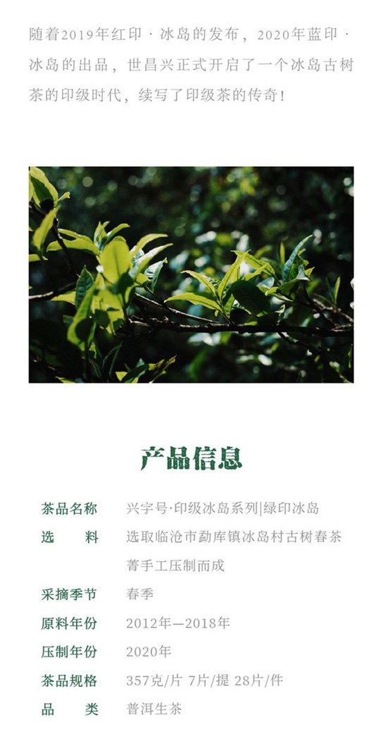 世昌兴绿印冰岛古树茶
