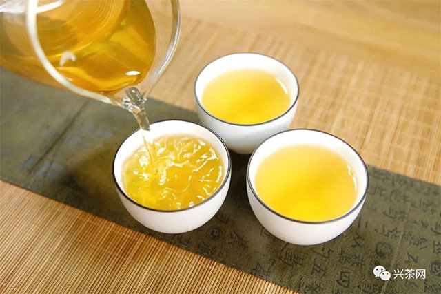 古度羲和号号级普洱茶