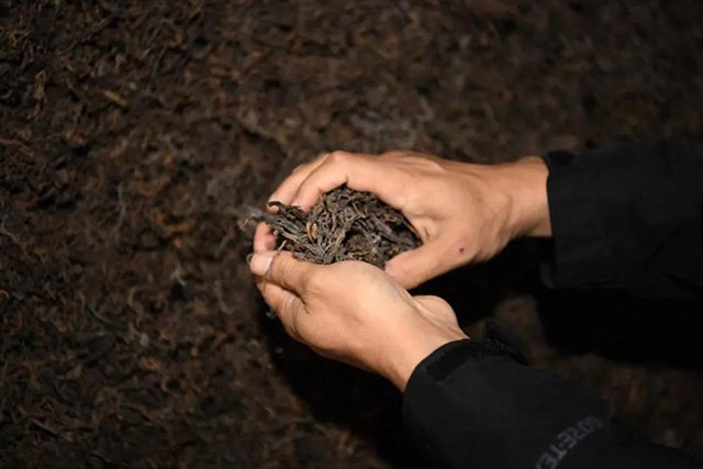 益木堂宫廷普洱熟散茶