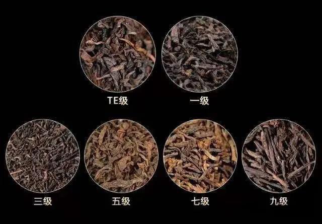 益木堂宫廷普洱熟散茶