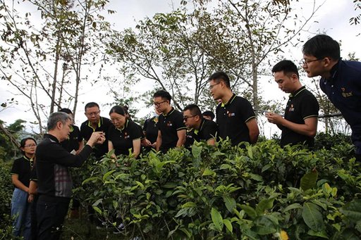 中茶云南2021年茶园基地管理培训班