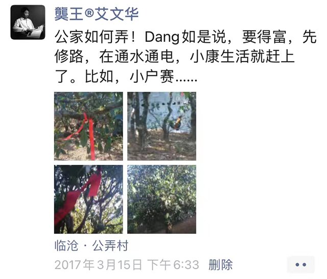 临沧小户赛古树普洱茶