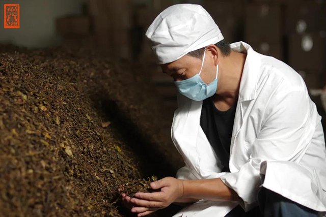 福元昌大班章熟茶
