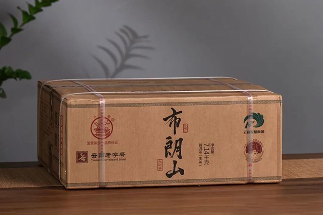 八角亭布朗山大树茶
