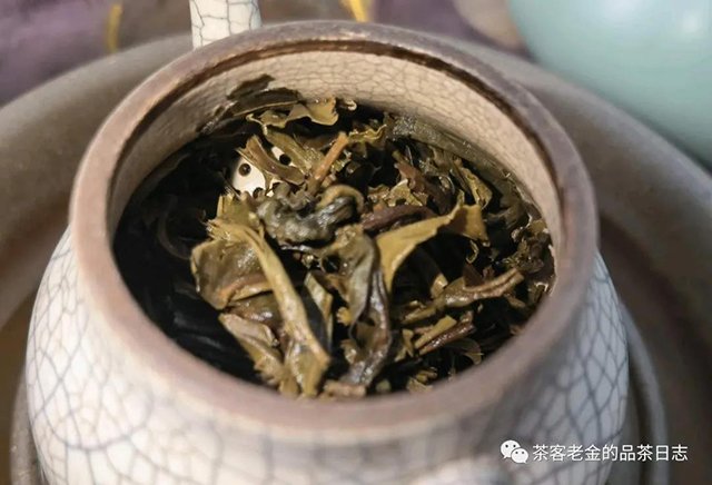 ���в�ɮ2021��������ɽ��Ͳ��