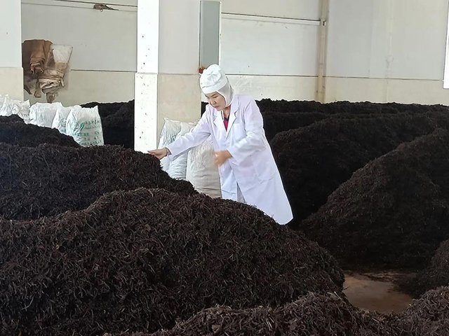 普洱华煜茶业有限公司公司董事长赵华琼获殊荣