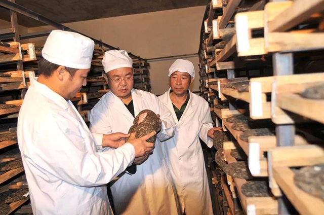 中吉号品牌