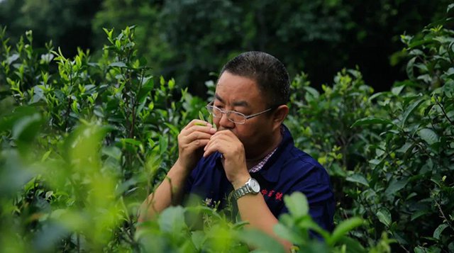 中吉号品牌