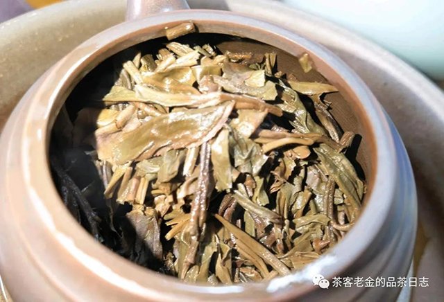 易武刮风寨茶王树普洱茶