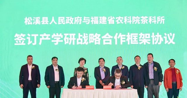 松溪县人民政府与福建省农科院茶科所签订产学研合作框架协议