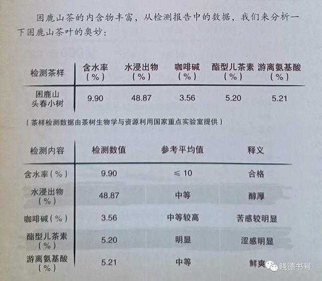 困鹿山细叶皇后