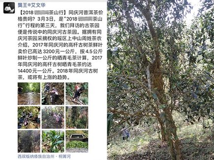易武铜箐河