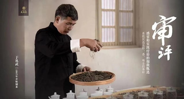 龙润茶润家号普洱茶