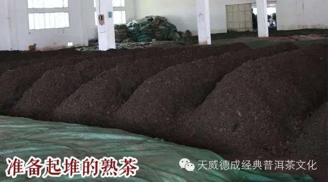 经典普洱茶普洱熟茶