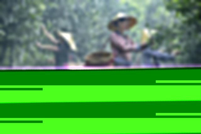 龙润茶2021年度茶业百强企业