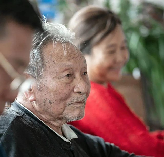 普洱杂志