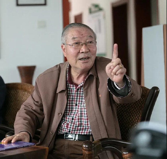 普洱杂志