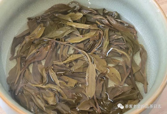 晓茶将军令普洱茶