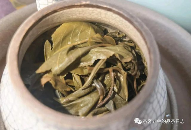 晓茶将军令普洱茶