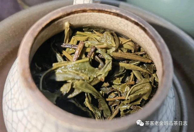 茶者无喧莽枝普洱茶