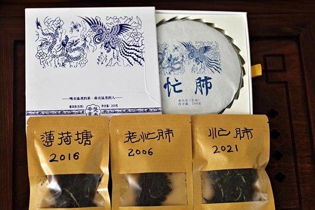 老茶人体验薄荷塘茶和忙肺茶