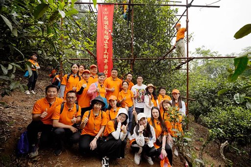 2021年龙润茶王朝饼南糯山