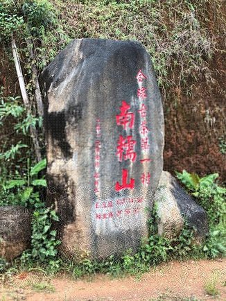 2021年龙润茶王朝饼南糯山