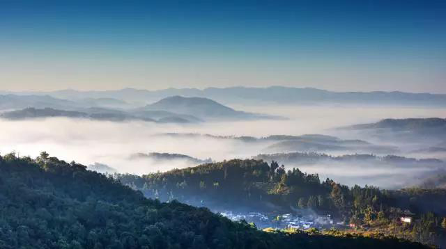 2021年龙润茶王朝饼勐库