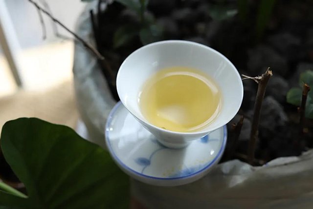 彤掌柜一寸心普洱茶