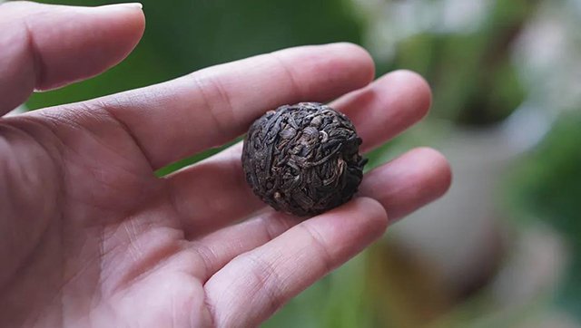 彤掌柜一寸心普洱茶