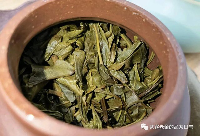 茶人壹树叶2021年隐者普洱茶