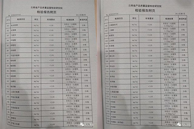 六大茶山贺开有机茶