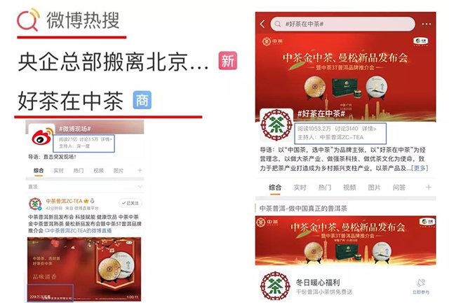 中茶普洱茶