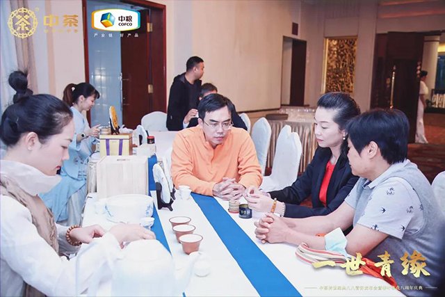 中茶八八青饼新品发布会