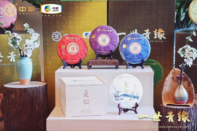 中茶八八青饼新品发布会
