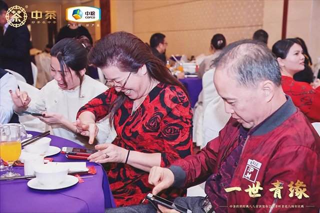 中茶八八青饼新品发布会