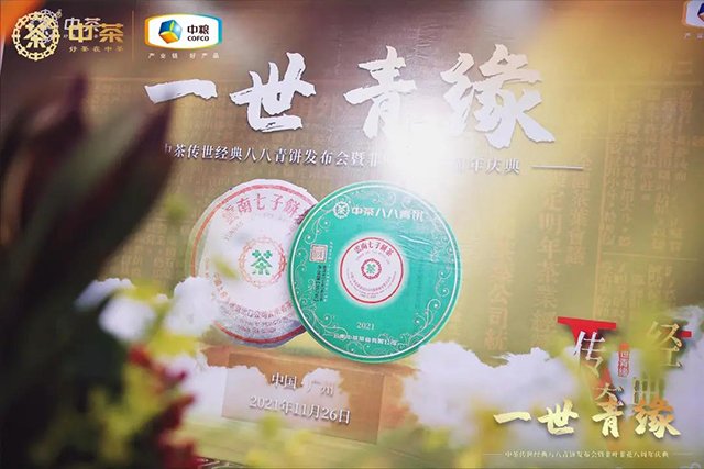 中茶八八青饼新品发布会