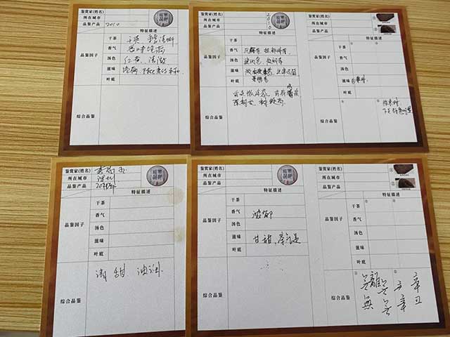 中吉号年份茶品鉴