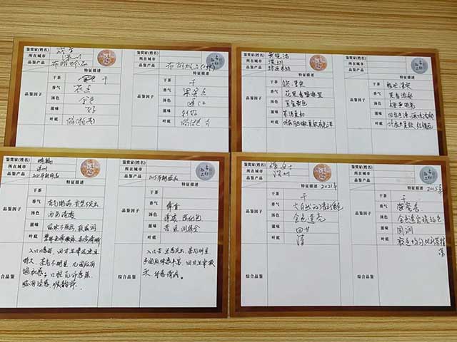中吉号年份茶品鉴