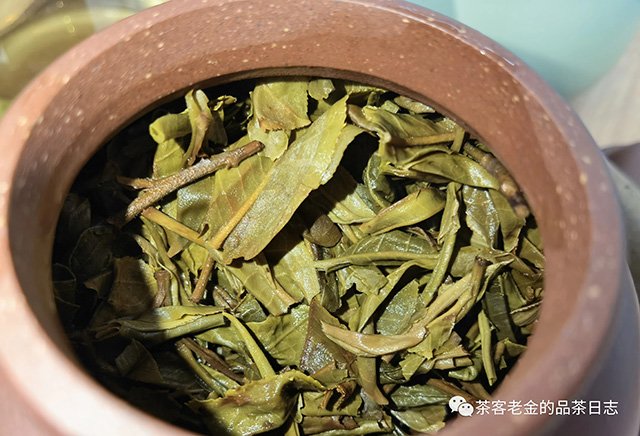 茶人壹树叶临茶风华普洱茶