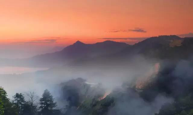 龙润昔归山头茶