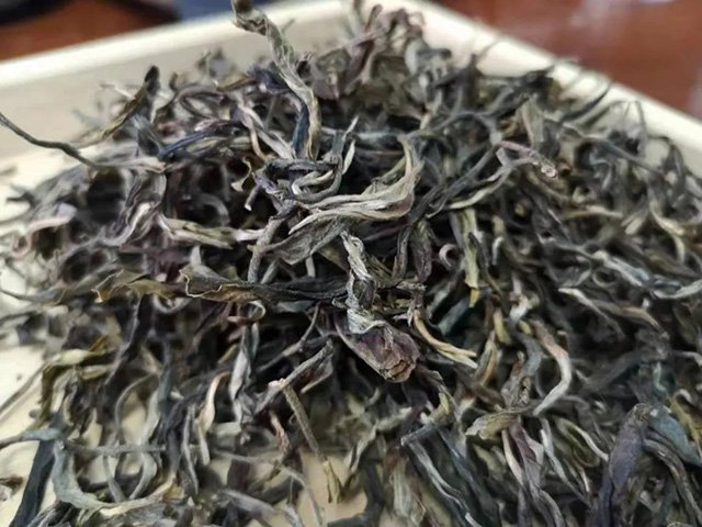 開元七子號定制茶