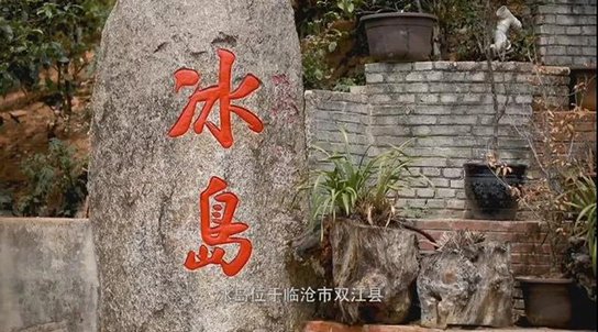 岁月知味冰岛普洱茶