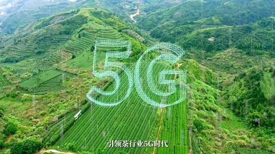 八马茶业践行智慧八马理念